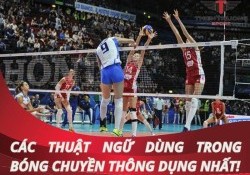 Tìm hiểu các thuật ngữ dùng trong bóng chuyền thông dụng nhất