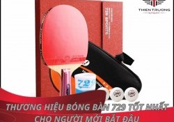 Thương hiệu bóng bàn 729 - phù hợp cho người mới bắt đầu