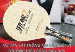 Tất tần tật thông tin về thương hiệu bóng bàn DHS 