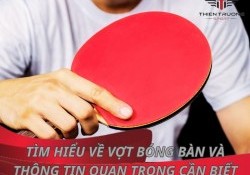 Tìm hiểu về vợt bóng bàn và các thông tin quan trọng cần biết