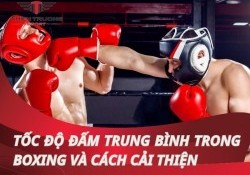 Tốc độ đấm trung bình là gì? Khám phá tốc độ đấm trong Boxing