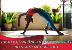 Yoga là gì? Những kiến thức cần biết cho người mới tập Yoga