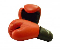 Găng tay đấm bốc Boxing số 1