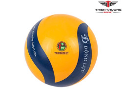 Quả bóng chuyền hơi hoa xoáy DL200