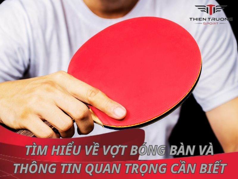 Tìm hiểu về vợt bóng bàn và các thông tin quan trọng cần biết