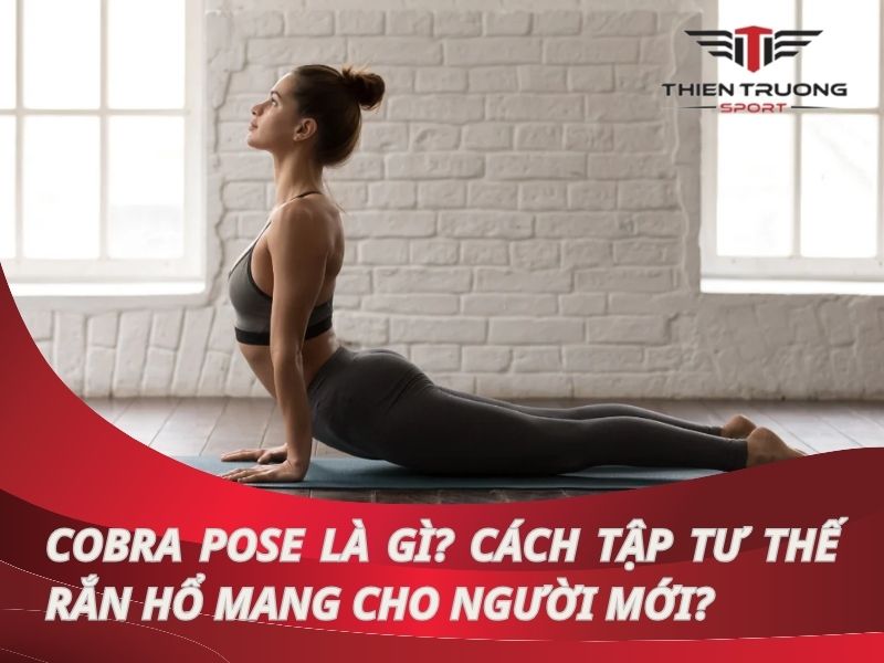 Cobra Pose là gì? Cách tập tư thế rắn hổ mang cho người mới?