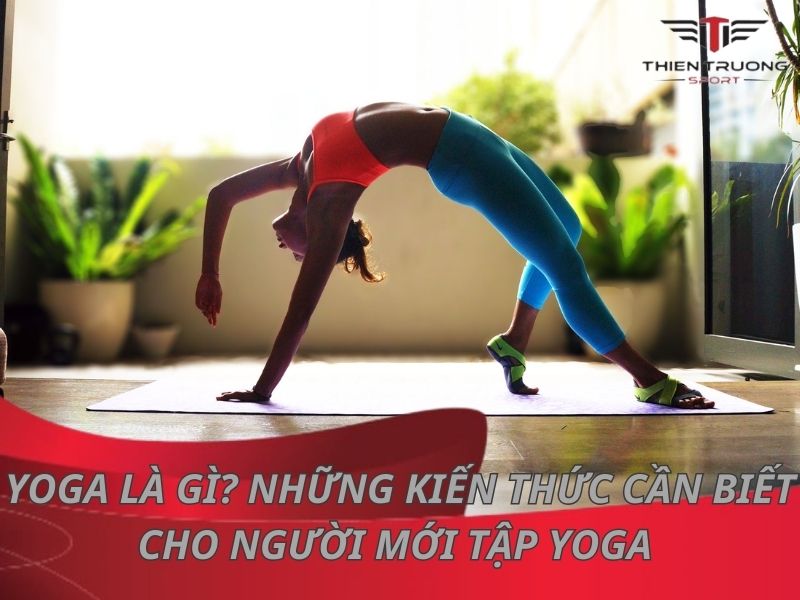 Yoga là gì? Những kiến thức cần biết cho người mới tập Yoga